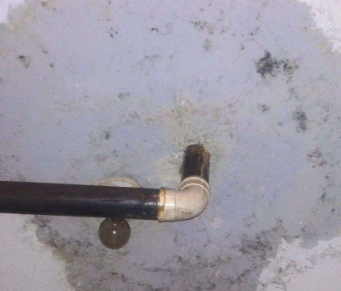 东至卫生间防水哪家好