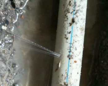 东至卫生间测漏水多少钱