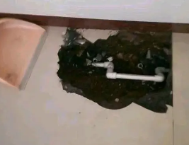 东至卫生间测漏水多少钱